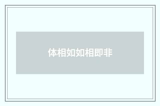 体相如如相即非