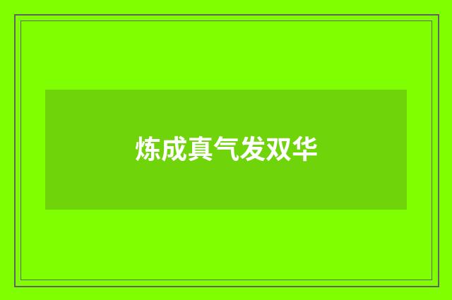 炼成真气发双华