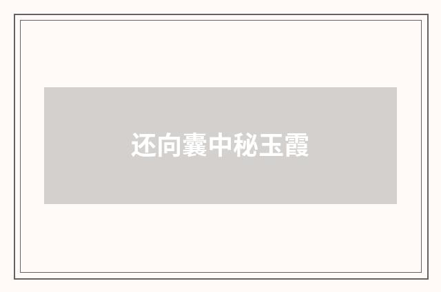 还向囊中秘玉霞