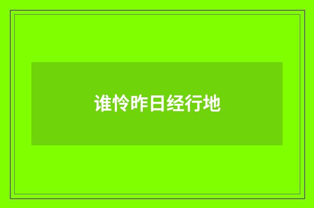 谁怜昨日经行地