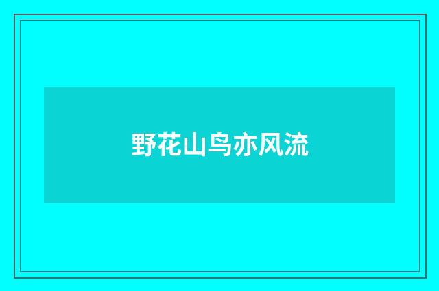 野花山鸟亦风流