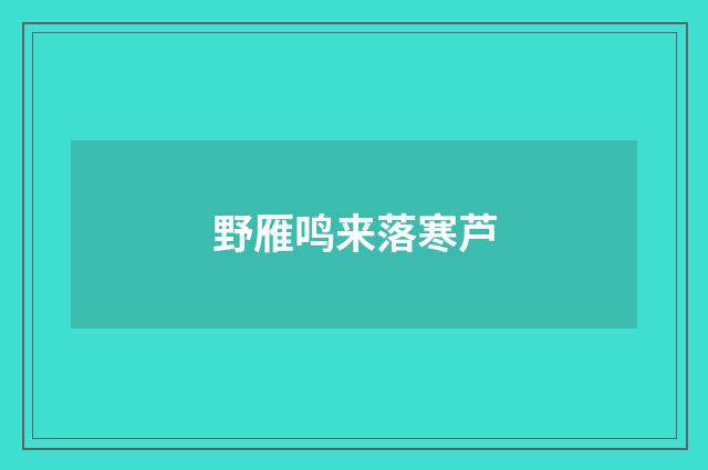 野雁鸣来落寒芦