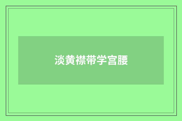 淡黄襟带学宫腰