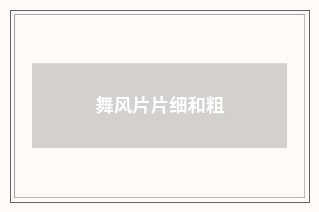 舞风片片细和粗