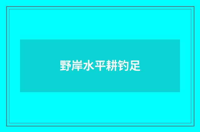 野岸水平耕钓足
