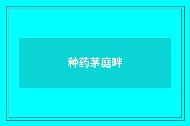 种药茅庭畔
