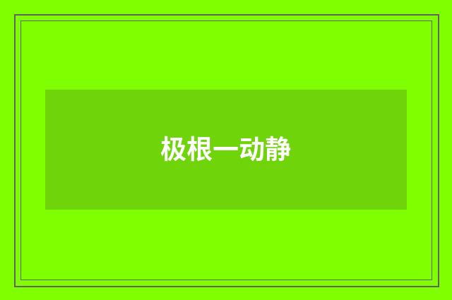 极根一动静