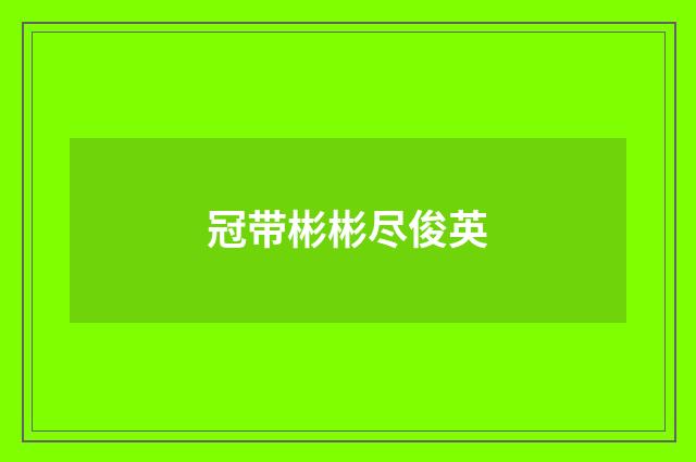 冠带彬彬尽俊英