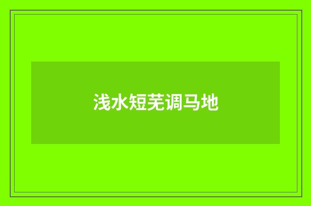 浅水短芜调马地