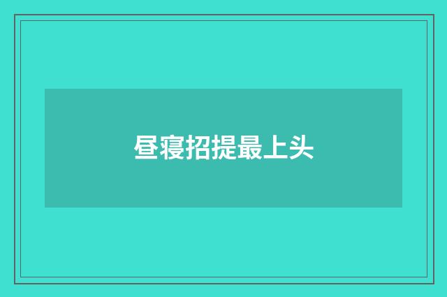 昼寝招提最上头