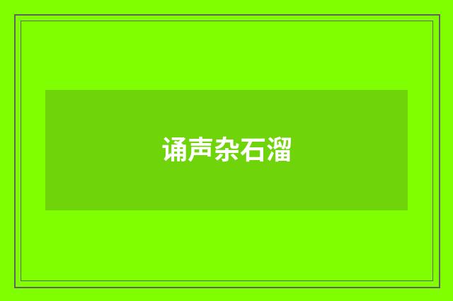 诵声杂石溜