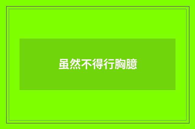 虽然不得行胸臆