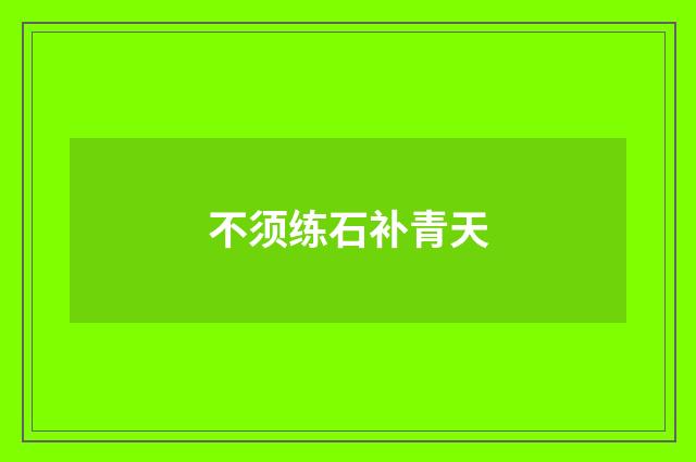 不须练石补青天