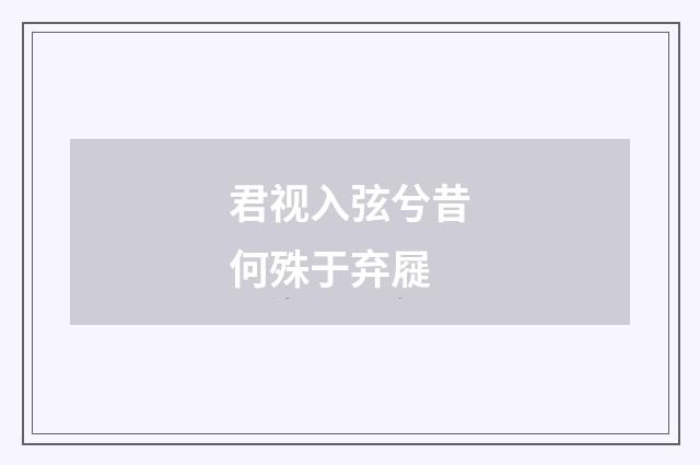 君视入弦兮昔何殊于弃屣