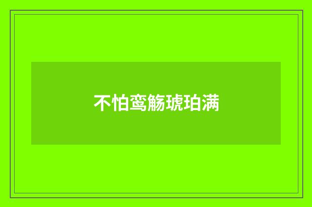 不怕鸾觞琥珀满