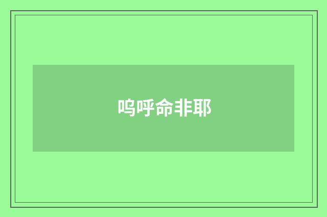 呜呼命非耶