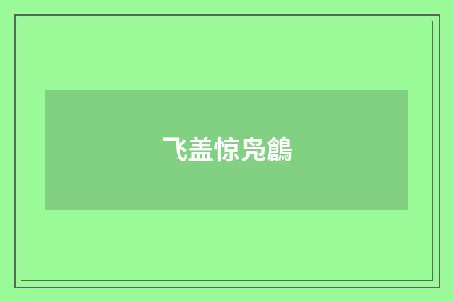 飞盖惊凫鶬