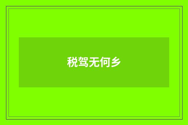 税驾无何乡