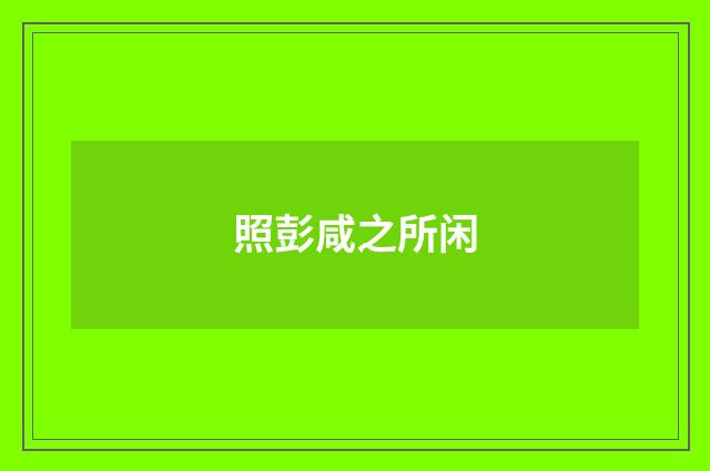 照彭咸之所闲