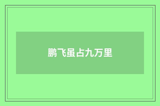 鹏飞虽占九万里