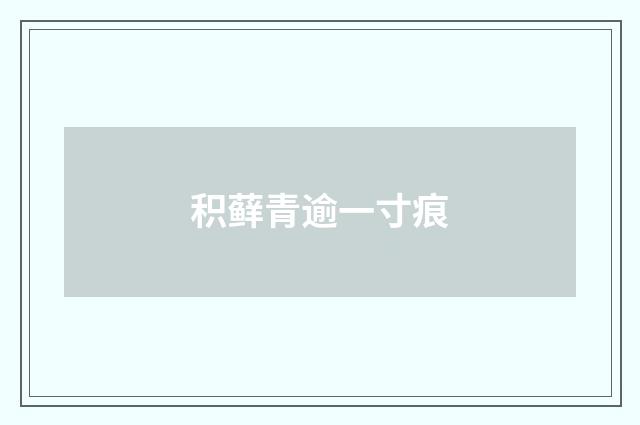 积藓青逾一寸痕