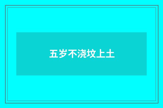 五岁不浇坟上土