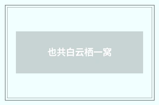 也共白云栖一窝