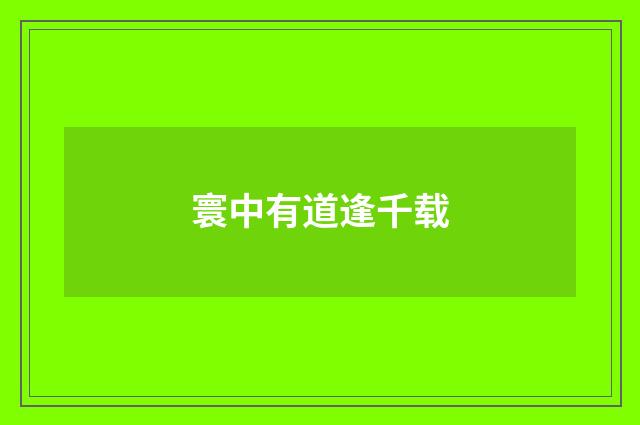 寰中有道逢千载