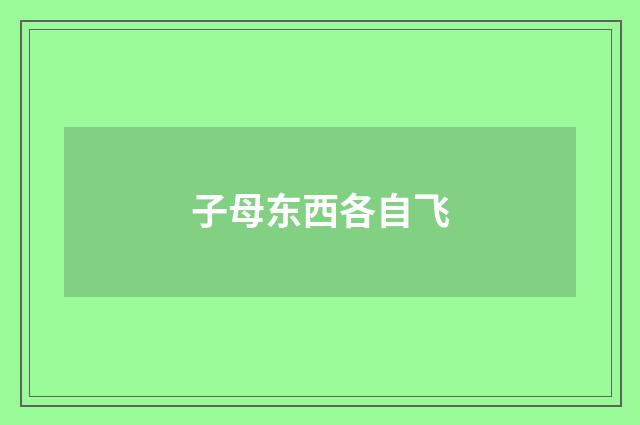 子母东西各自飞