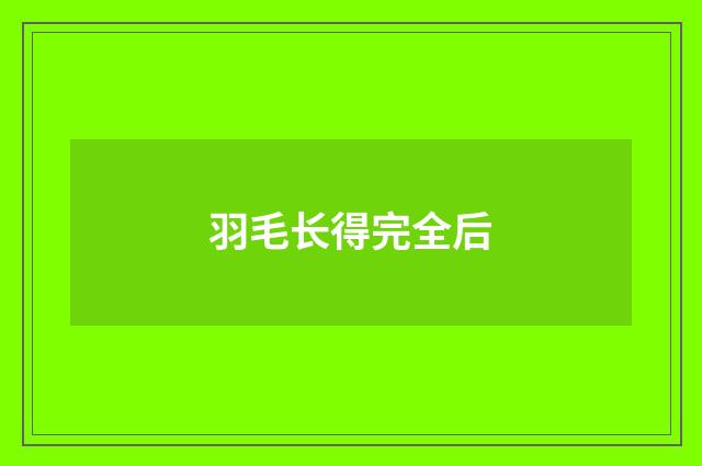 羽毛长得完全后