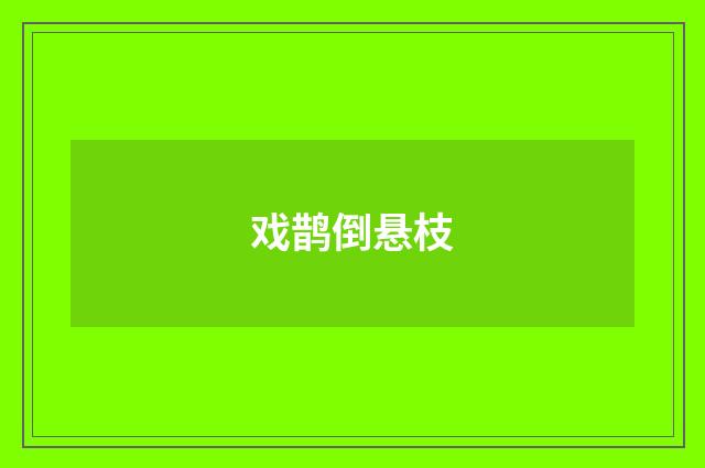 戏鹊倒悬枝