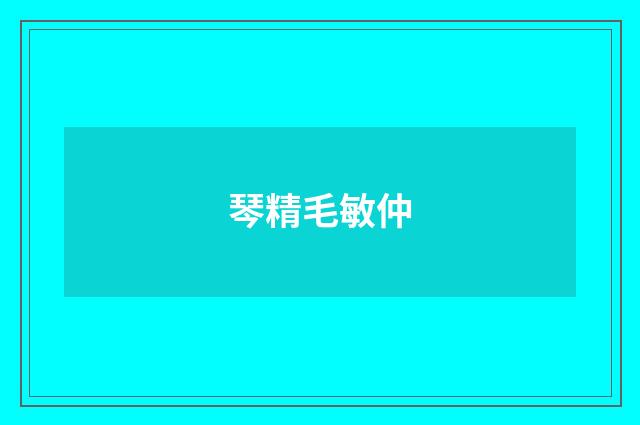 琴精毛敏仲