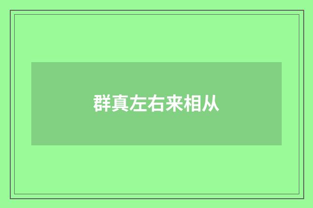 群真左右来相从
