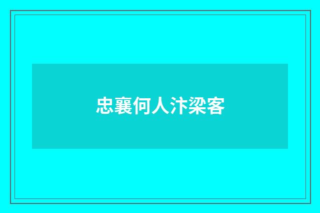 忠襄何人汴梁客