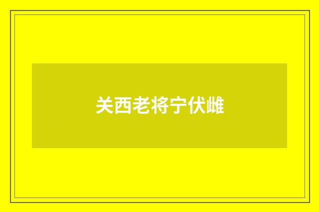 关西老将宁伏雌