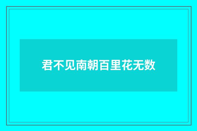 君不见南朝百里花无数