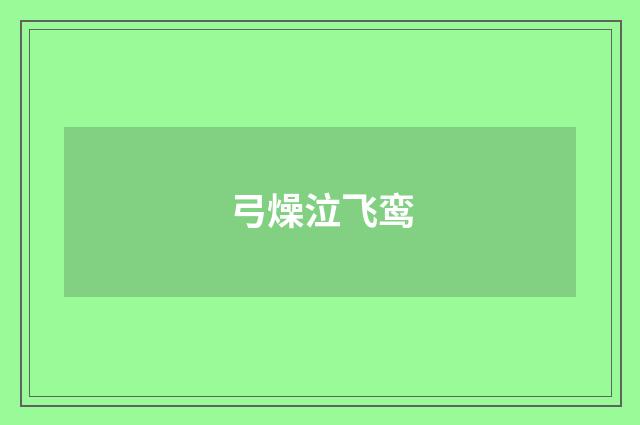 弓燥泣飞鸾