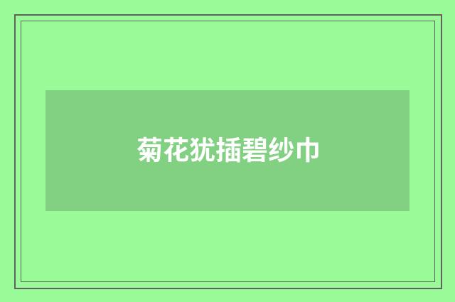 菊花犹插碧纱巾