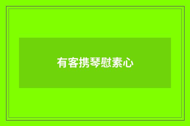 有客携琴慰素心