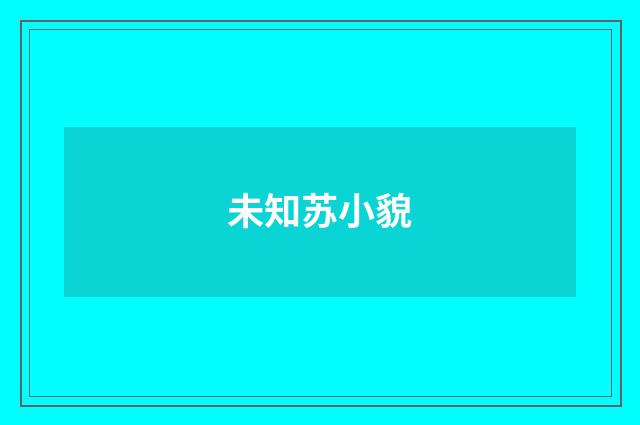未知苏小貌