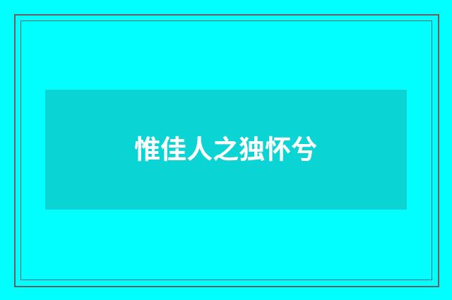 惟佳人之独怀兮