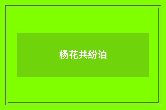 杨花共纷泊