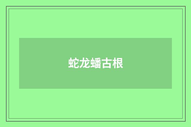 蛇龙蟠古根