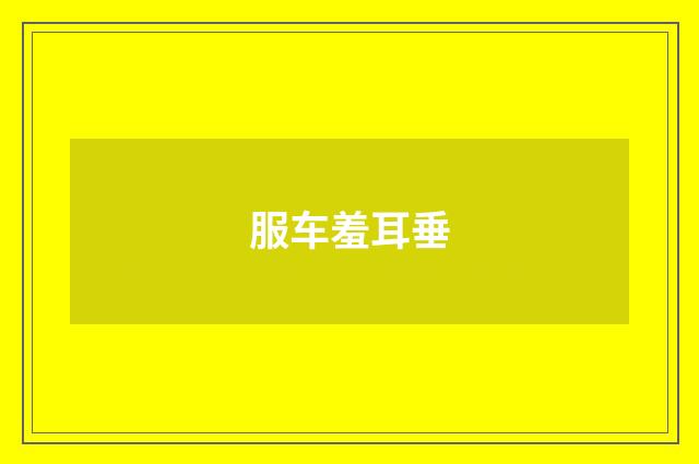 服车羞耳垂