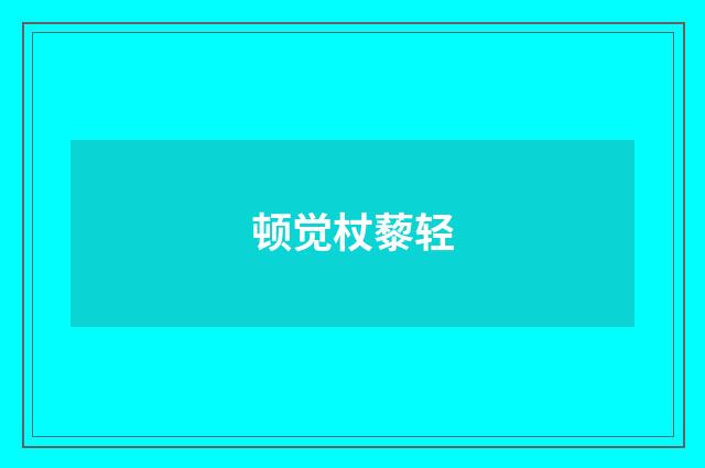 顿觉杖藜轻
