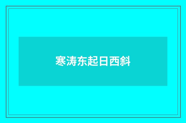 寒涛东起日西斜