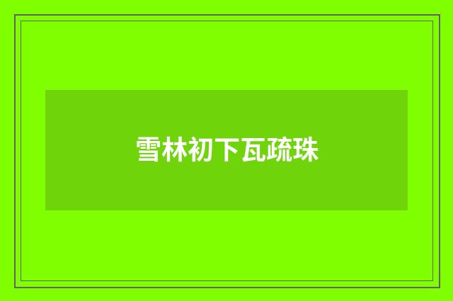 雪林初下瓦疏珠