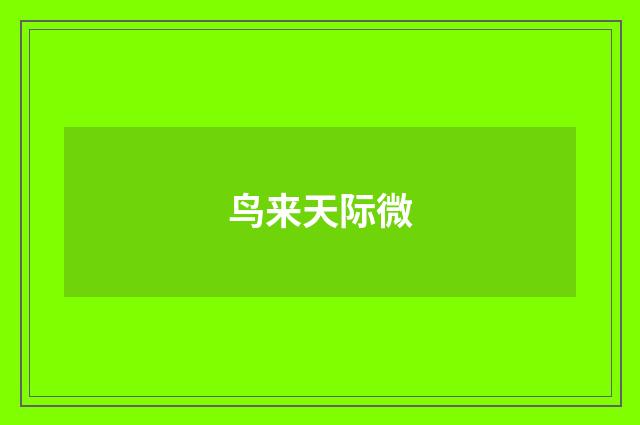 鸟来天际微