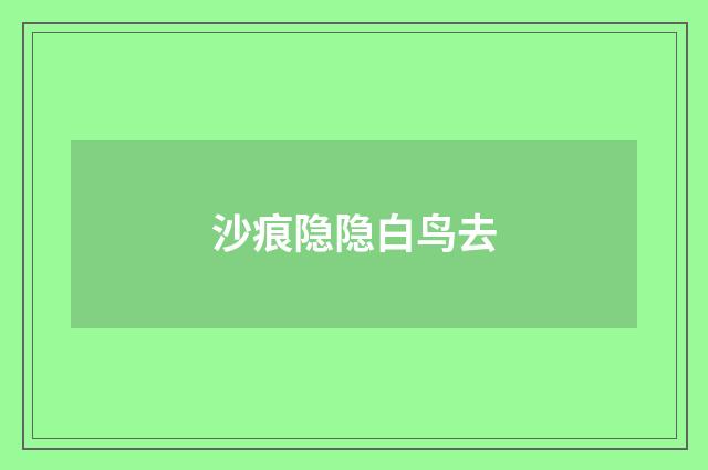 沙痕隐隐白鸟去