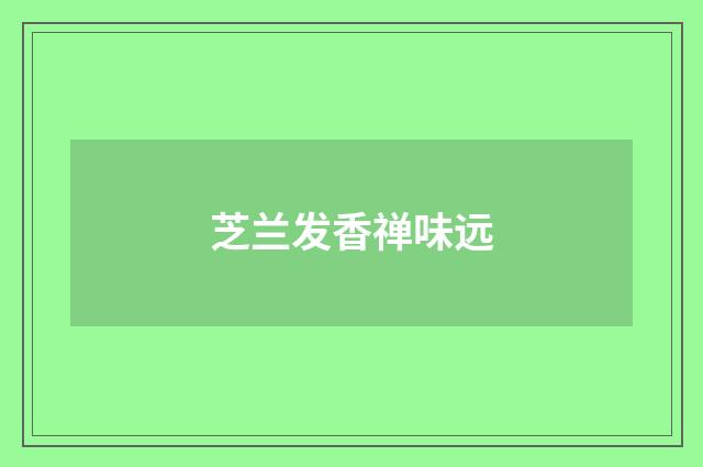 芝兰发香禅味远